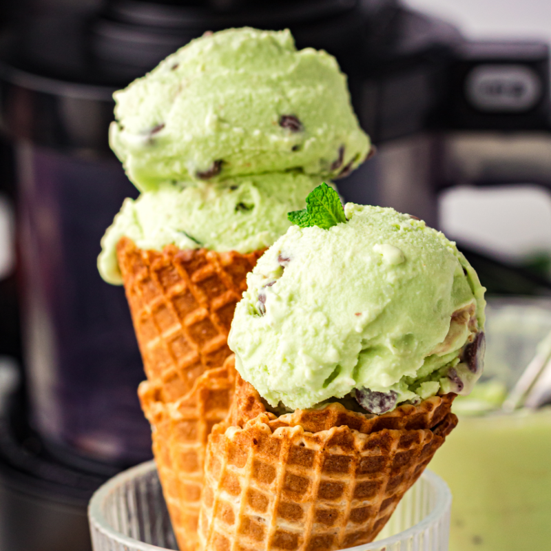 Ninja Creami Mint Chocolate Chip Ice Cream